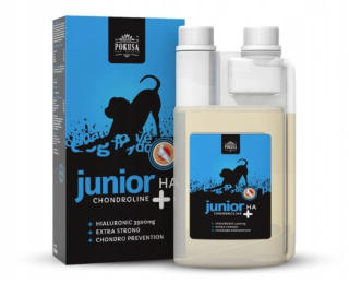 Bioimmunex felis 40 kapsúl