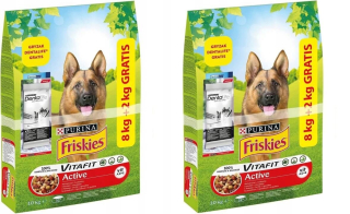 Krmivo pre psy - Purina Friskies aktívne s hovädzím mäsom 20kg + DENTALIFE