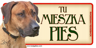 Rhodesov Ridgeback - Dverové tanier