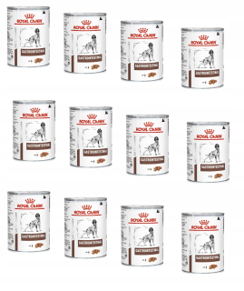 Konzervy mokré krmivo pre psa - Royal Canin Gastro Cinstinal Canine 12 x 400 g