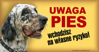 Angličtina Setter Atte Dish Pet