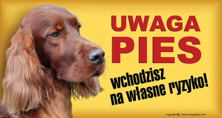 Írska výstražná doska
