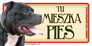 Staffordshire Bull Terrier Plate