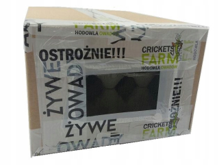 Stredne domáce krikety - Bigpack 500 ml