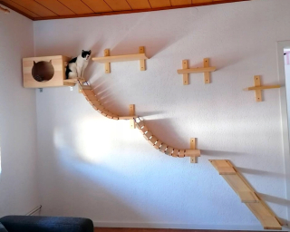 Lezenie na stenu pre mačku, mačku pre mačku.