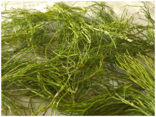 Verse Laga Nature Cuni Rabbit 2,3 kg podľa hmotnosti