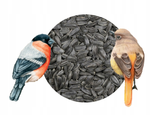 Krmivo pre papagáje - Čierna slnečnica v poriadku 10 kg prírodné Poľsko