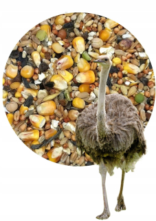 Pštros - Universal Food - 20 kg zmes krmiva
