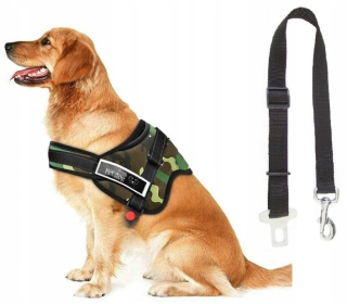 Postroj, popruh pre psa -  Pes Braces Labrador Shepherd ROZM L + pás