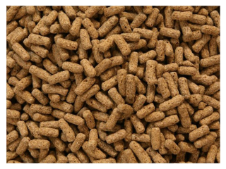Korytnačka mix L 1 kg jedlo pre potravu korytnačky