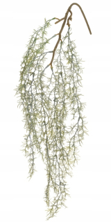 Tillandsia zapletela závesné rastliny Terrárium plazy
