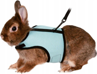 Škrečok Lanyard Pet Postroj šnúrky šteniatko
