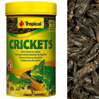 Tropické cvrčky 250 ml cvrčky pre veľké ryby