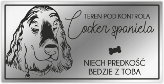 Pozornosť psom tanier kokršpaniel španiel