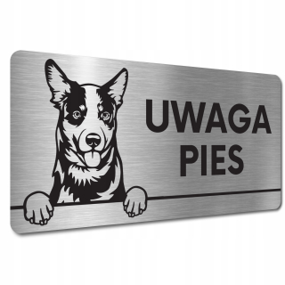 Pozornosť Bad Dog Plate - Austrálsky psí dobytok