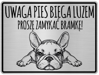 Pozornosť psom tanier francúzsky buldog