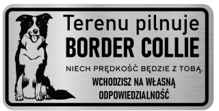 Pozornosť psov z nehrdzavejúcej dosky s bareer collie