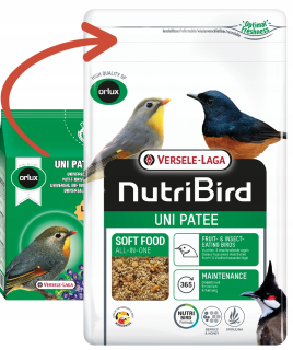 Krmivo pre papagáje - VL Orlux Uni Patee - Potraviny pre predbežné výkyvy 1 kg