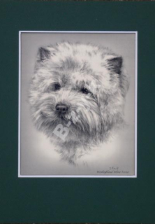 Westhighland White Terrier Originálna postava