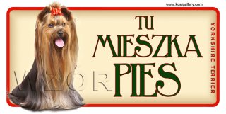 Yorkshire Terrier Dverte Plate Gate Gate Gate