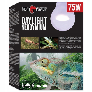 Vykurovacie žiarovky Denné svetlo Neodynium 75 W Repti Pla