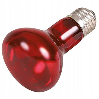 Žiarovka červená lampa Trixie 35W 76094