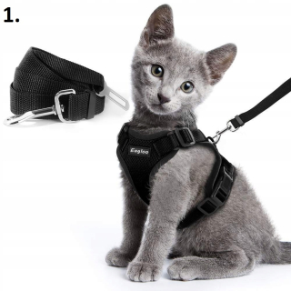 Vodítko, postroj pre mačku - Sada rovnátka LEASH BELT PRE CAT 5 TYPY MALÉ