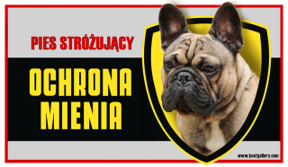 Francúzsky buldog pozornosť psie tanier