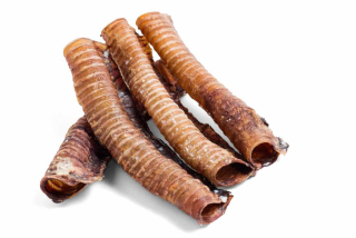 Lionto delaná posteľ pre psa pre záhradu Taras s