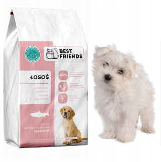 Best Friends sušené krmivo losos 2 kg